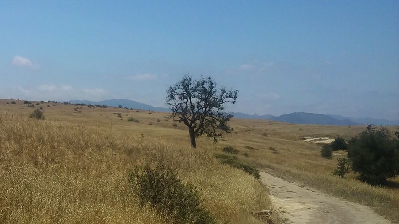 A view from the northern portion of the Mary Weisbrock Loop Trail in Upper Las Virgenes Canyon Open Space Preserve