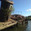 Captain D (not a tugboat, but a shifter) lays in the graveyard area of the Dutch Gap Conservation Area.