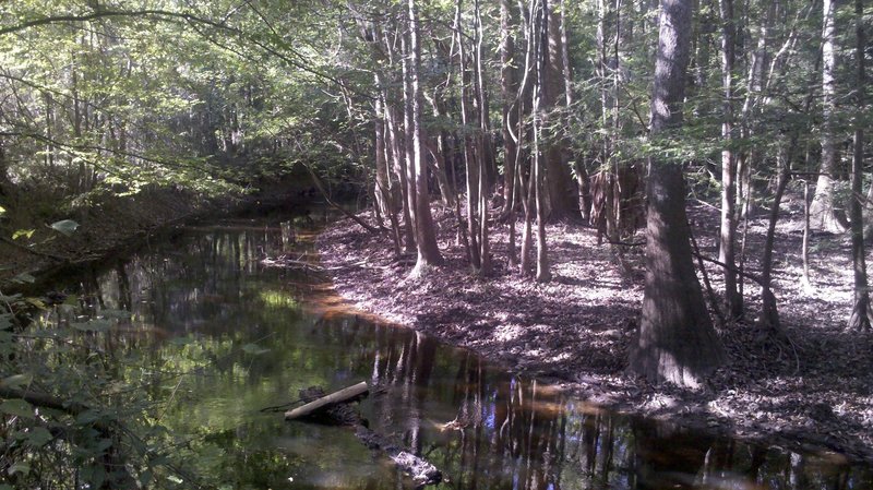 Cedar Creek as seen from the Oakridge Trail.