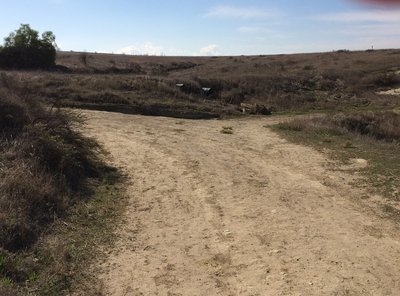 Mary Weisbrock Loop Trail goes left here. If you take the trail on the soft right, it takes you to the top of Crummer Ranch Rd.