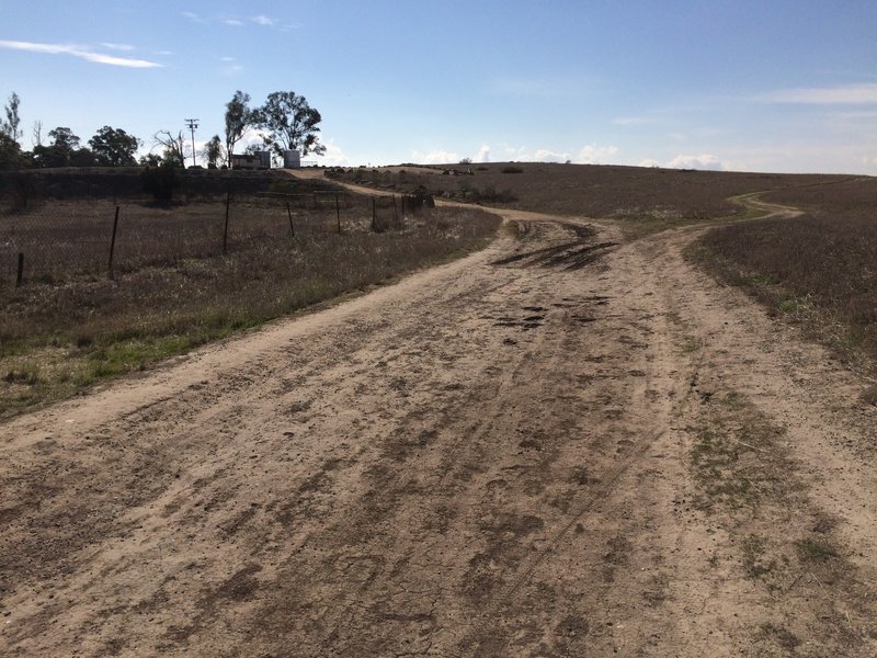 This is on the Mary Weisbrock Loop Trail on Lasky Mesa looking towards the old ranch house and the trailhead.