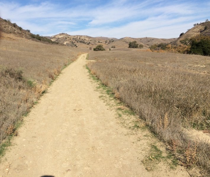 The East Las Virgenes Canyon Trail offers a beautiful view to the east on the long ascent up to the Victory Trailhead.