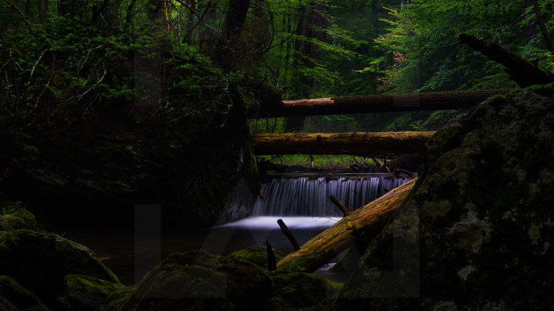 One of the many waterfalls along Toms Creek Trail.