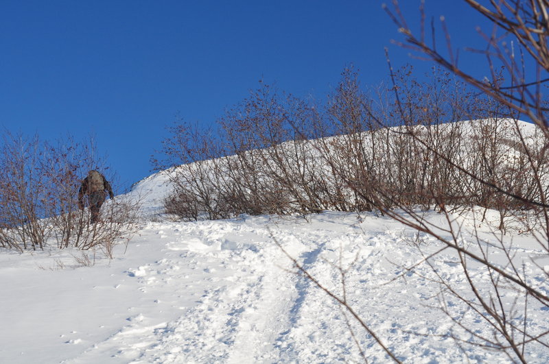 The Initial, wintery, ascent above the scrub growth on the Mt. Baldy Trail.