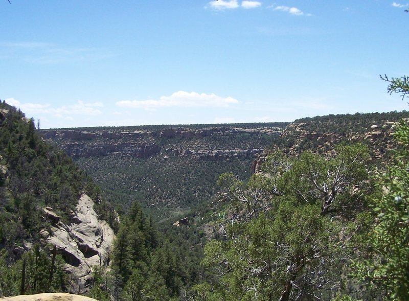 Looking out into Spruce Canyon from the Petroglyph Point Trail.