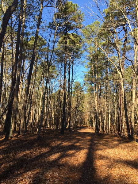 The nice and wide Long Meadow Trail.