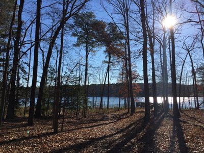 Lee Hall Reservoir Lookout Dock at the end of the Long Meadow Trail.