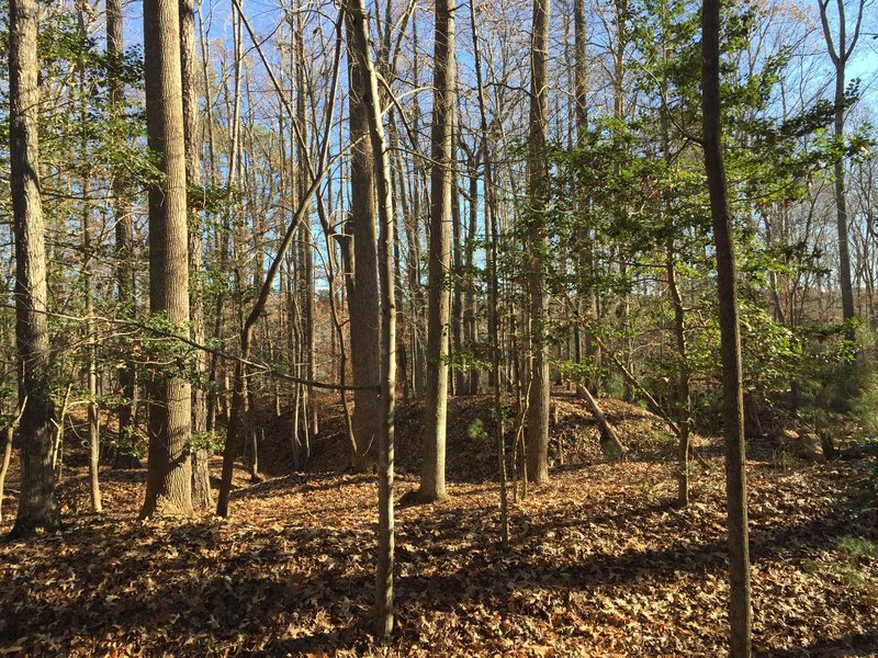 Wynn's Mill Civil War trenches.