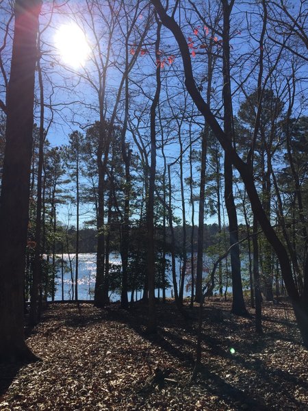 View of Lee Hall Reservoir from the Campground Connector.