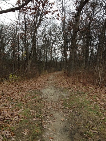 The start of the SE Connector, heading toward the main Sag Valley Trail.