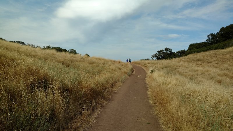 Golden grasses surround the trail as it descends away from civilization.