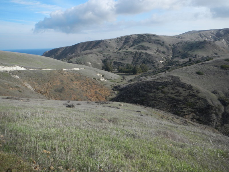 Looking back towards Scorpion Valley