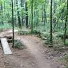 Pine Loop Trail in Brown County State Park.