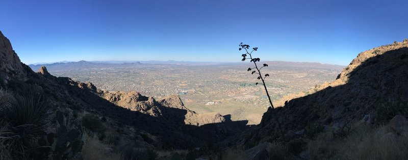 Oro Valley can be seen peeking through the mountains on the Pusch Peak Trail.
