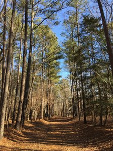 The nice, wide, and relatively flat Bikeway Trail is a great option for young and old alike.