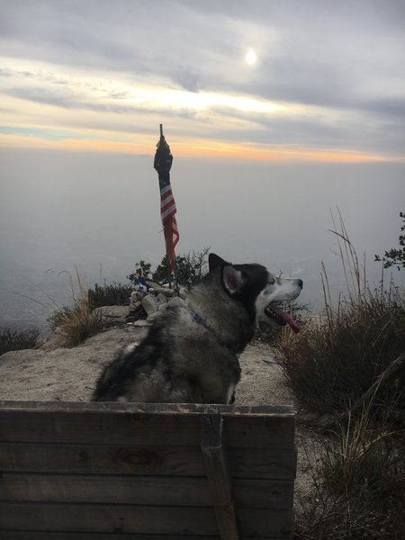 The bench at the summit offers awesome 360-degree views of Valley, Rim of the World and Big Bear.