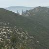 Trees north of the summit survive at over 4500 feet in elevation.