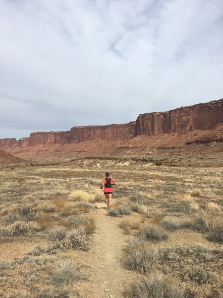 The Alcove Springs Trail flattens out after the initial descent before running through the creekbed.