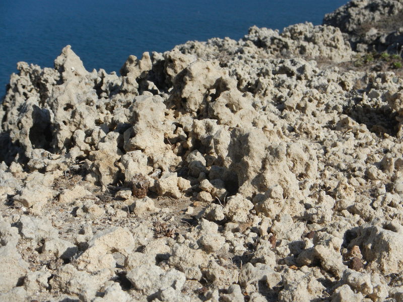 Interesting cemented-sand structures grace the cliffs above Cavern Point