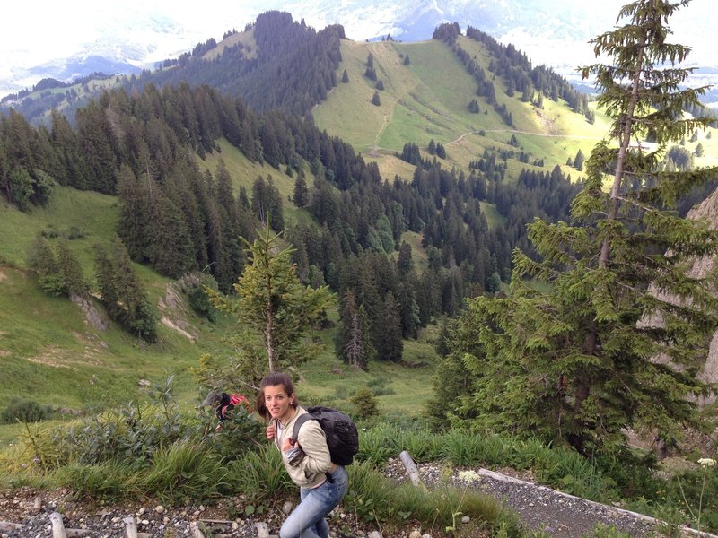 Bärenkopf in the background at the saddle, with Trail 4 barely visible along the treeline.