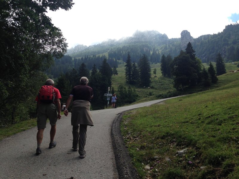 Emerging from the trees with the first views of the Kampenwand peaks.