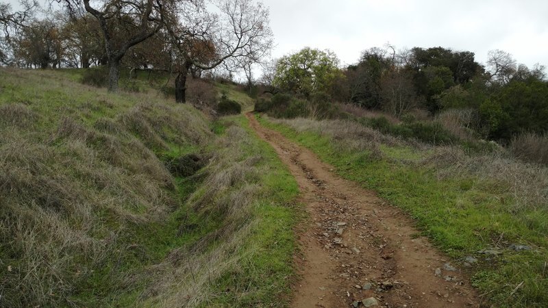 Enjoying the Cinnabar Trail (New Almaden Trail/Mine Hill Trail connector) is a great way to spend a winter day.