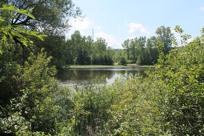 The views of the Huron River from the Laura Trail are sure to put you at peace.