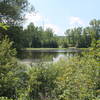 The views of the Huron River from the Laura Trail are sure to put you at peace.