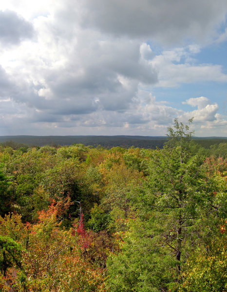 View from Wawayanda State Park Terrace Pond North trail.