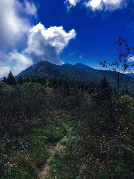 The Black Mountain Crest Trail offers fantastic views of Mt. Craig in the distance.