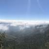 Potato Hill (along the Black Mountain Crest Trail) offers spectacular panoramic views of the surrounding area.