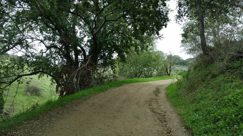 Winter on the Mine Hill Trail near Quicksilver Park's McAbee entrance.