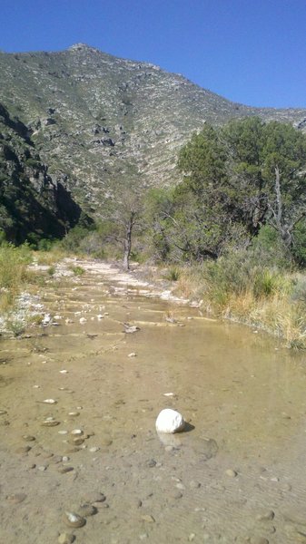 The creek bed fills with water as you move into the canyon (McKittrick Canyon Trail).