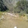 The creek bed fills with water as you move into the canyon (McKittrick Canyon Trail).