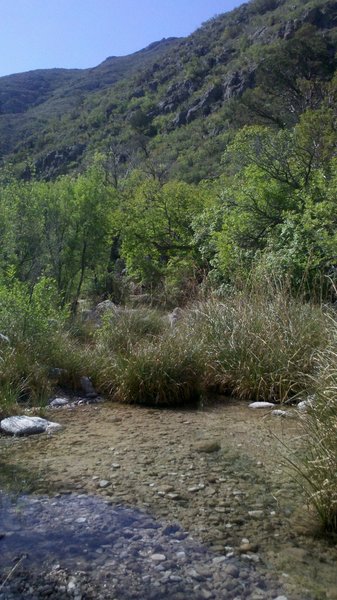 Vegetation and habitat change along the creek (McKittrick Canyon Trail).