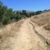 Heading up the hill on Standwood Trail at Parma Park.