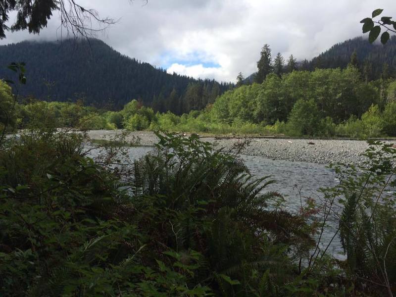 Hoh River Trail in Olympic National Park, Washington.