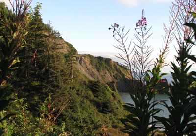 There are traces of the Old Redwood Highway still visible on the cliffs above Enderts Beach.