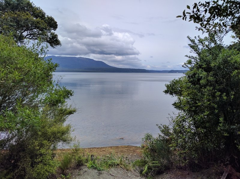 This is the location of the Humphries Bay campsite and an aid station on the Tarawera Ultra race course.