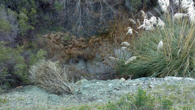 The entrance to the Main Tunnel of the New Almaden Mine was down there in the late 19th and early 20th centuries. This was a cinnaber (mercury ore) mine.