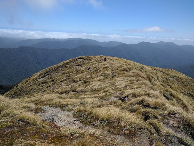 Northern ranges are short on runnable trail sections.