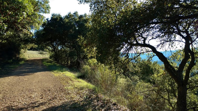 A winter day on Castillero Trail.