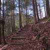 Heading up to Chestnut Knob.