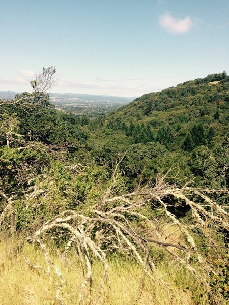 The view at South Ridge and Canyon. The overlook is just to the right outside the picture.