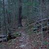 The trail as it runs along the backside of the Tremont Institute.