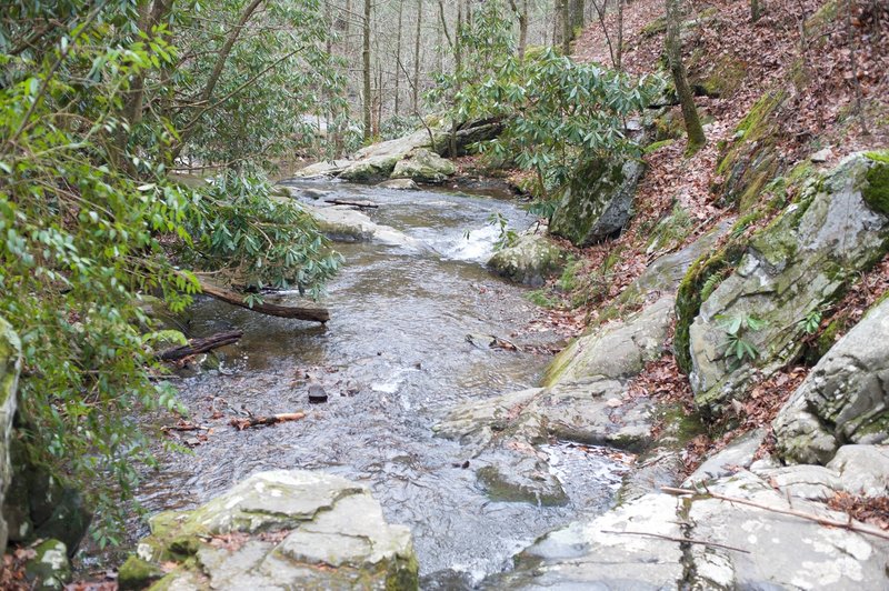 This is looking down the creek toward the road.