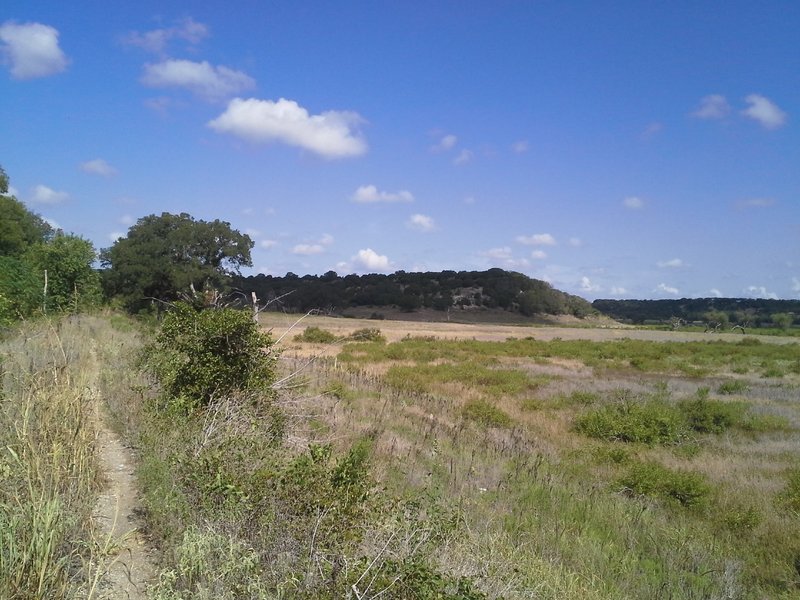 Looking north across the Sycamore Hollow of the Goodwater Loop. This section of trail runs atop an old dam/retention wall.