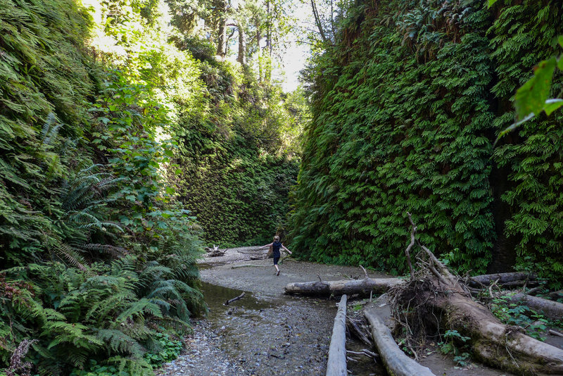 Dancing down the wonderful Fern Canyon Loop Trail makes for a great way to enjoy the moment.