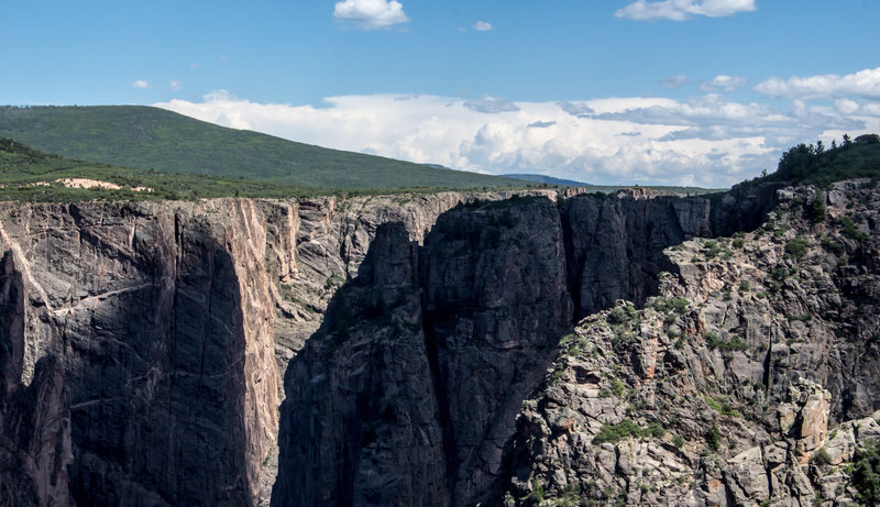 Lush vegetation ends abruptly for the deep Black Canyon