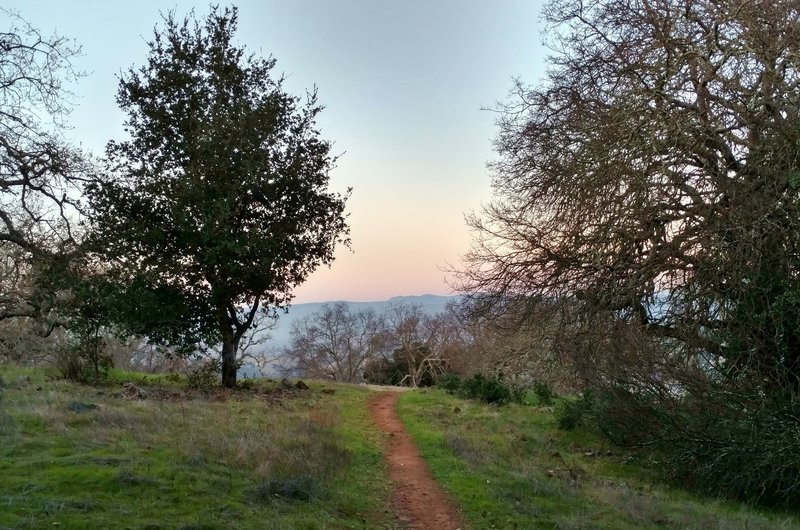 A late winter afternoon glows in bright pink hues on the Prospect #3 Trail.